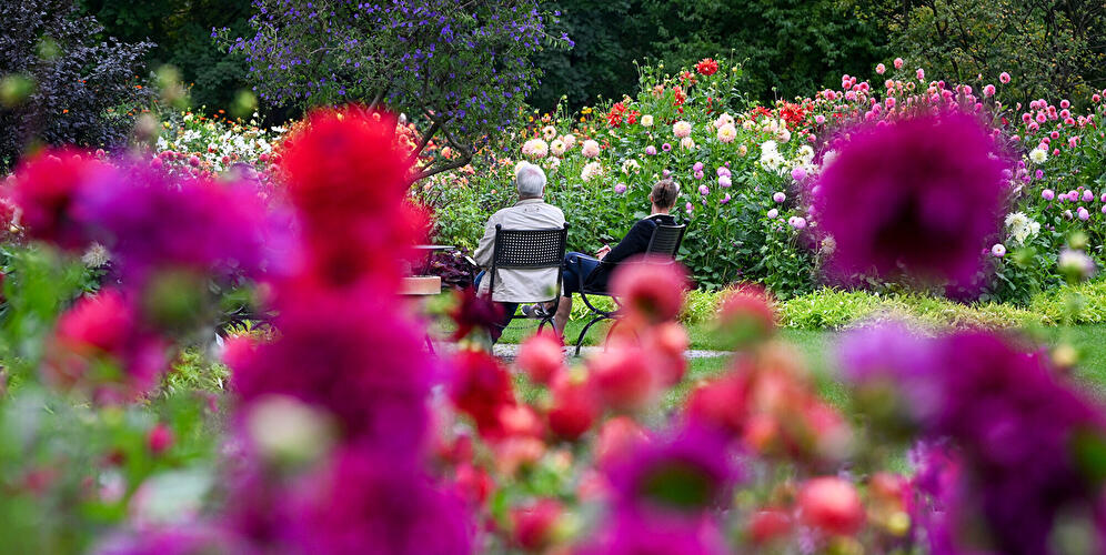Zwei Personen sitzen auf Stühlen inmitten eines farbenprächtigen Blumengartens mit pinken, roten, weißen und violetten Blüten.