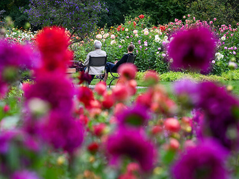 Zwei Personen sitzen auf Stühlen inmitten eines farbenprächtigen Blumengartens mit pinken, roten, weißen und violetten Blüten.