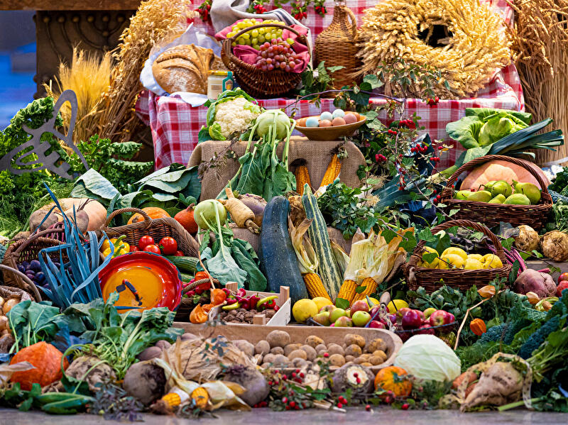 Reich gedeckter Erntedanktisch mit Obst, Gemüse, Brot, Getreidegarben und Körben voller Erntegaben als Festdekoration.