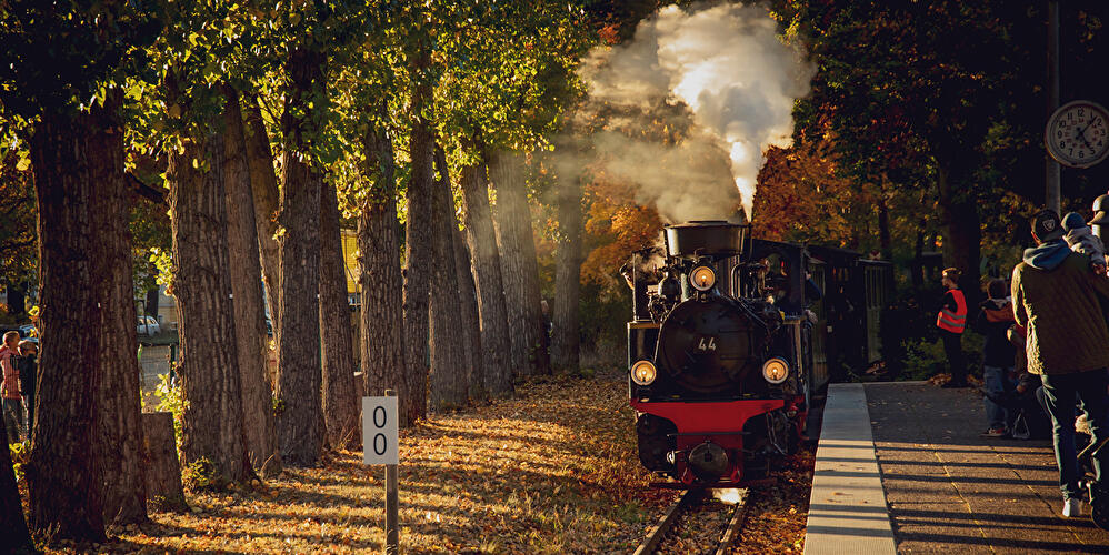 Historische Dampflok der Parkeisenbahn fährt durch herbstliche Allee an einem Bahnsteig.