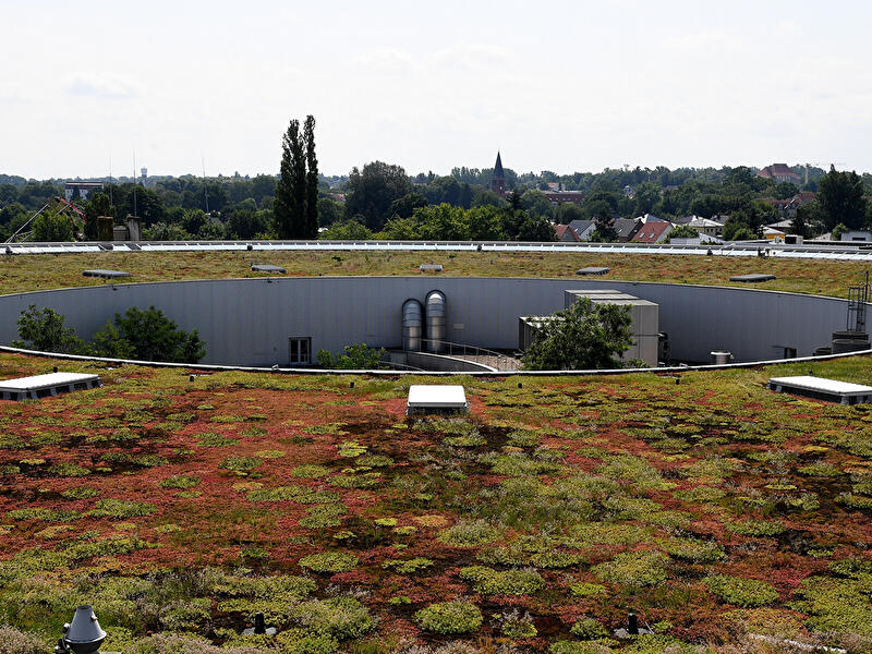 Begrüntes Flachdach mit rundem Innenhof und Blick über die Berliner Stadtrandbebauung.