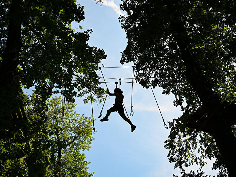 Person im Kletterwald überquert ein Seilelement zwischen Bäumen.