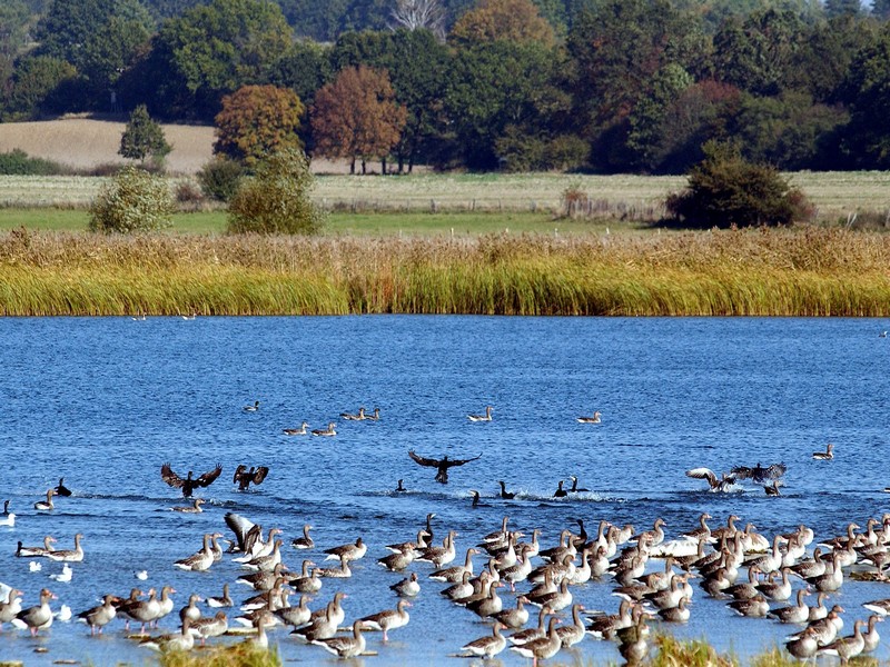 Biosphärenreservat Schorfheide Chorin Brandenburg
