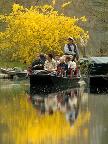 Frühling im Spreewald