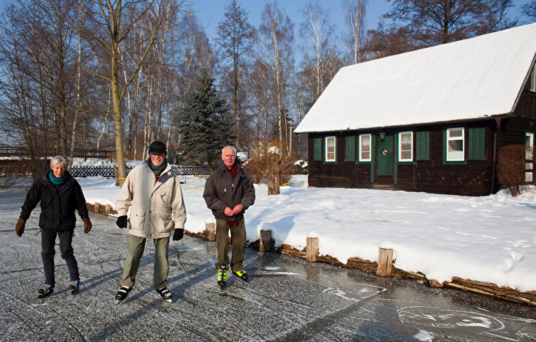 Spreewald im Winter
