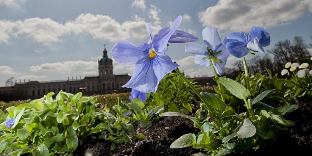 Schloss Charlottenburg