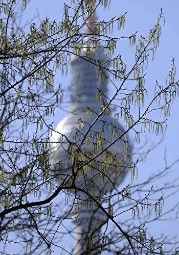 Fernsehturm Frühling