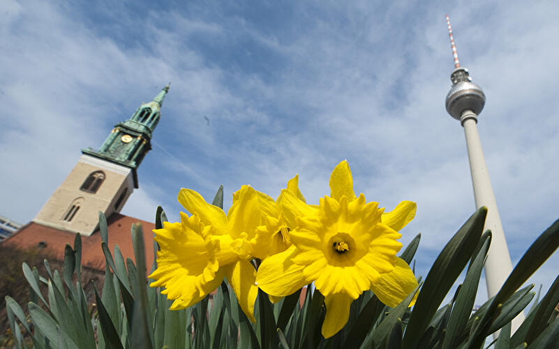 Fernsehturm Frühling