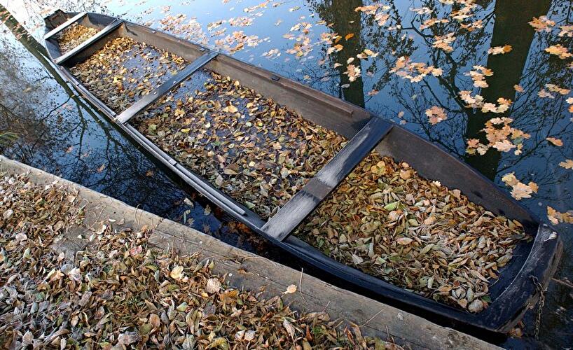 Spätherbst im Spreewald