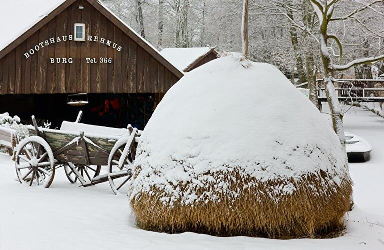 Winter im Spreewald