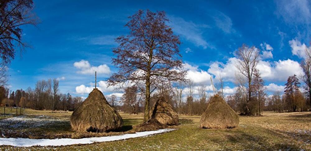 Heuschober im Spreewald