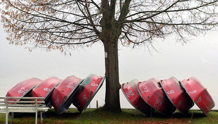 Winterruhe am Schermützelsee