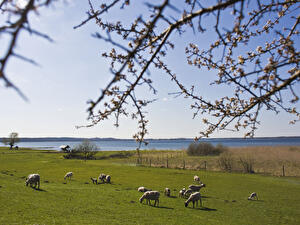 Frühling in der Uckermark