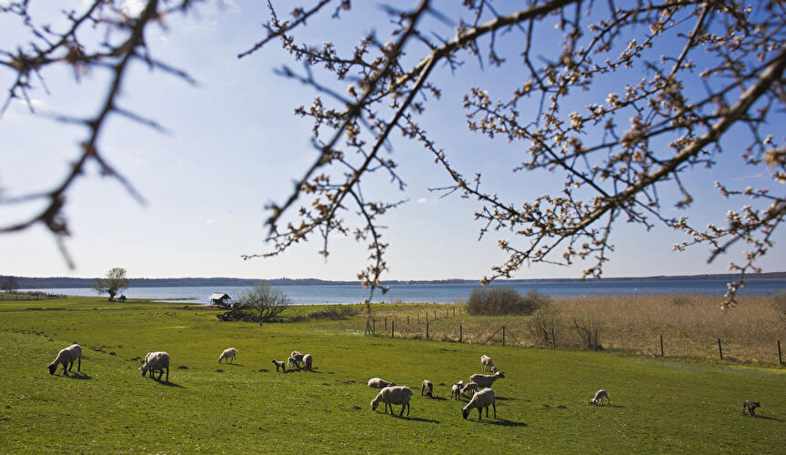 Frühling in der Uckermark