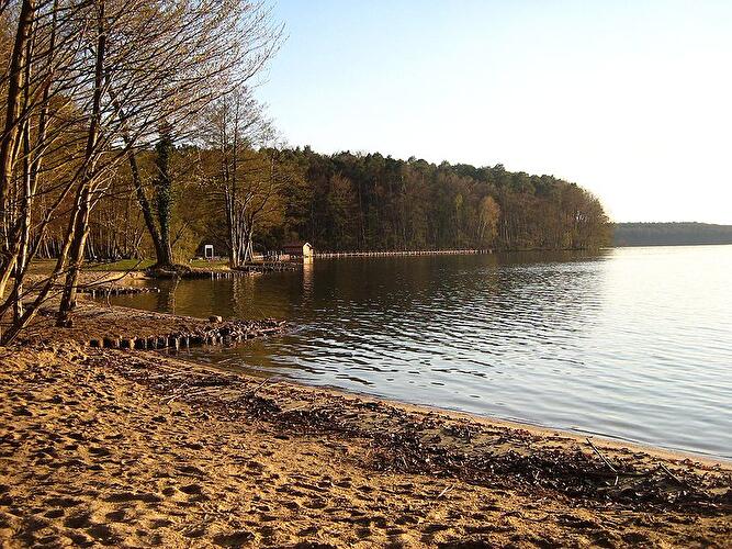Großer Stechlinsee