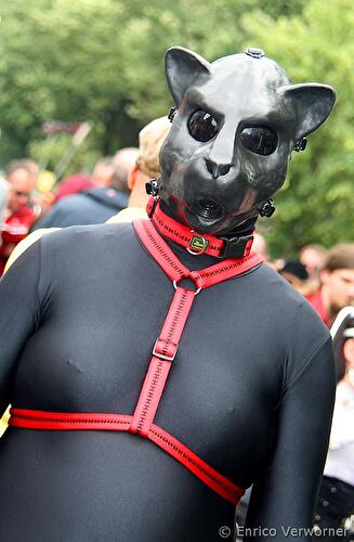CSD 2010