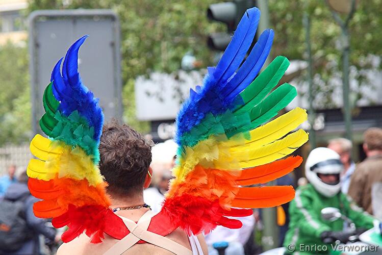 CSD 2010