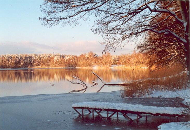 Winter am See