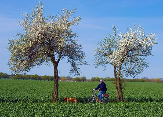 Frühling in Märkisch-Oderland