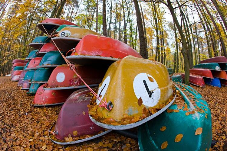 Herbst am Stechlinsee