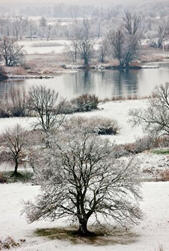 Blick auf die verschneite Oderlandschaft
