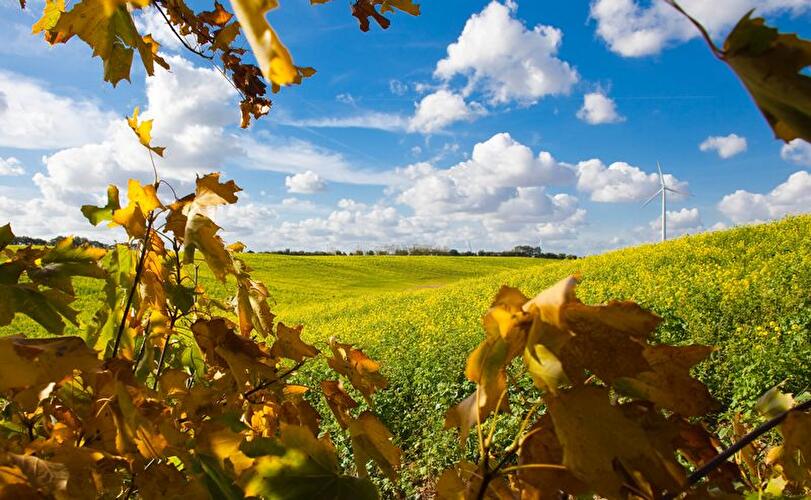 Herbst in Märkisch Oderland