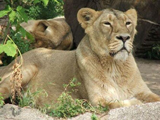 Tierpark Berlin
