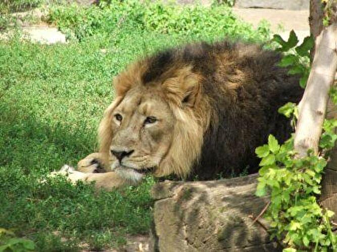 Tierpark Berlin