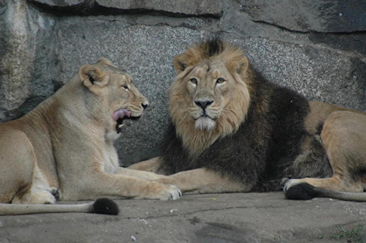 Tierpark Berlin