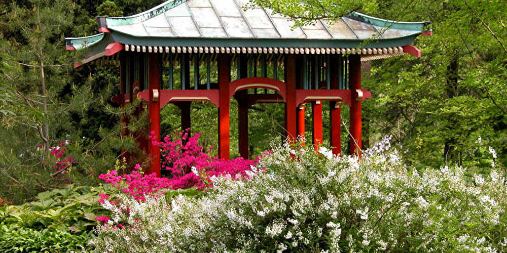 Botanischer Garten