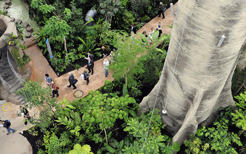 Großes Tropenhaus