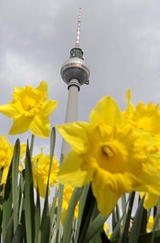 Im Bild: Der Fernsehturm