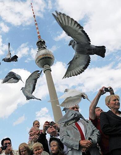 Im Bild: Der Fernsehturm