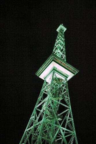 Grüne Woche 2008