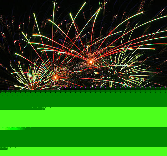 Pyronale 2008