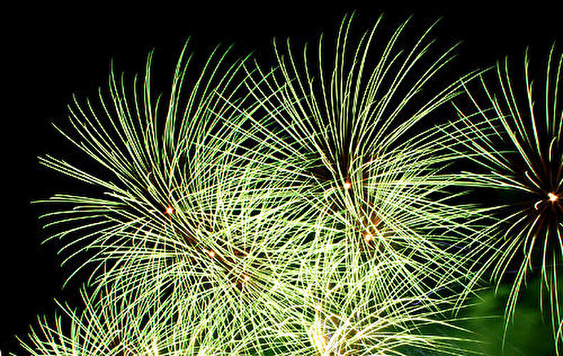 Pyronale 2008