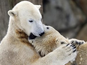 Knut und Gianna im Schnee
