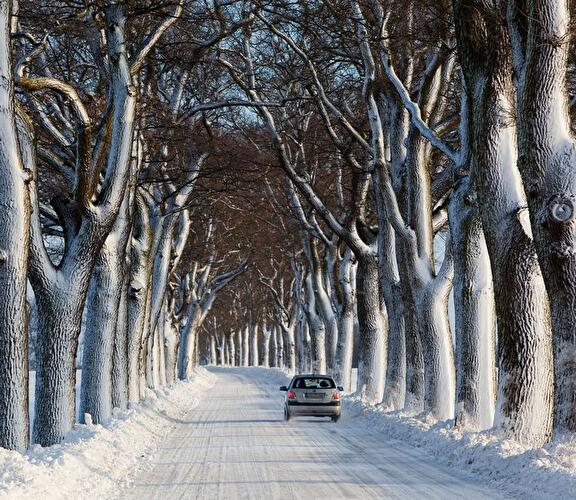 Auto auf verschneiter Allee