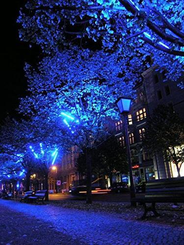 Festival of Lights 2005