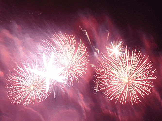 Pyronale 2007