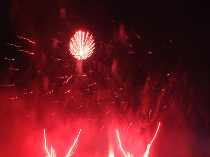 Pyronale 2007