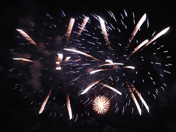 Pyronale 2007