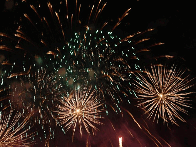 Pyronale 2007