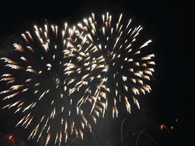 Pyronale 2007