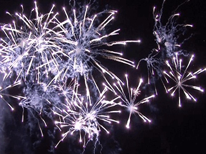 Pyronale 2007
