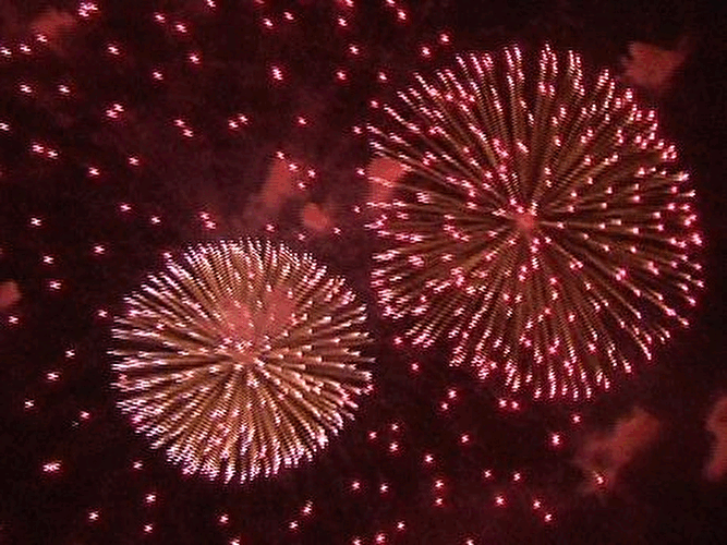 Pyronale 2007