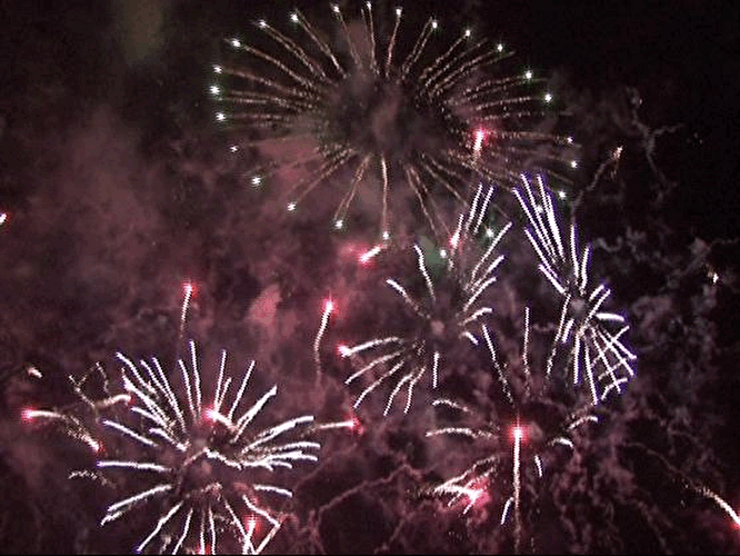 Pyronale 2007