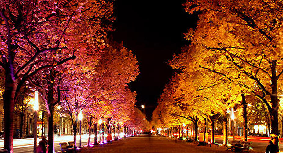 Festival of Lights 2007
