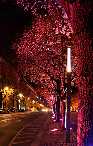 Festival of Lights 2007