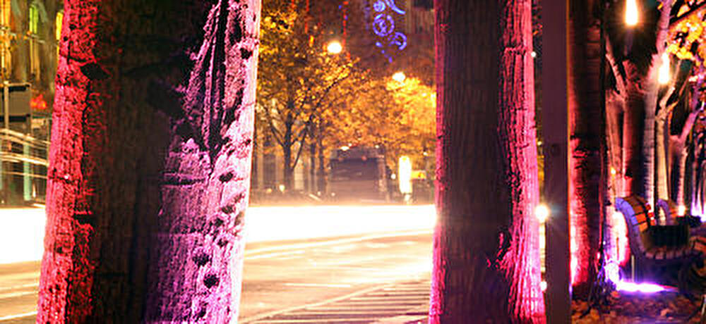 Festival of Lights 2007